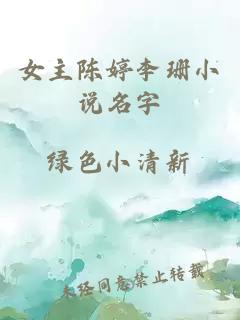 女主陈婷李珊小说名字