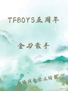 TFBOYS五周年