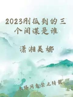 2023刚抓到的三个间谍是谁