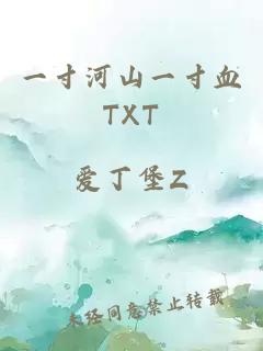 一寸河山一寸血TXT