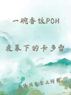 一碗香饭POH