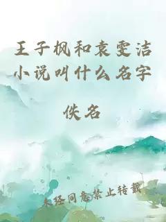 王子枫和袁雯洁小说叫什么名字