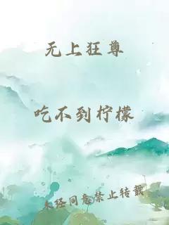 无上狂尊