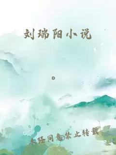 刘瑞阳小说