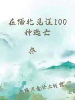 在缅北见证100种逃亡