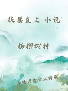 扶摇直上 小说