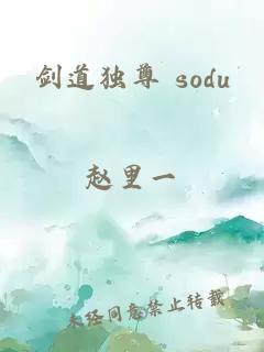 剑道独尊 sodu