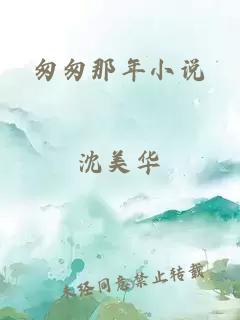 匆匆那年小说