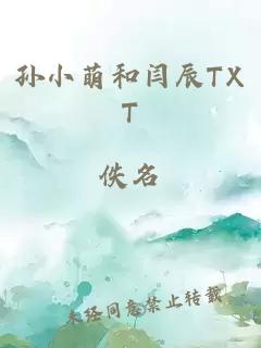 孙小萌和闫辰TXT