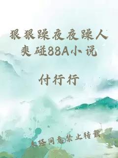 狠狠躁夜夜躁人爽碰88A小说