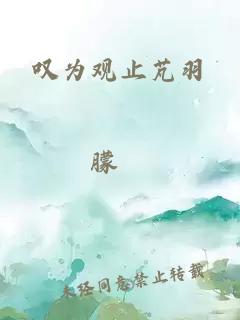 叹为观止芃羽