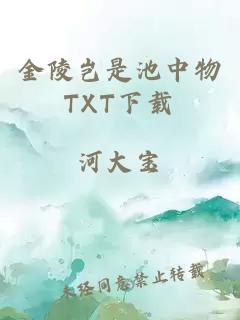 金陵岂是池中物TXT下载