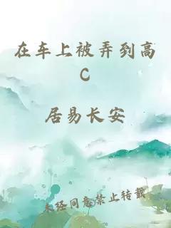 在车上被弄到高C