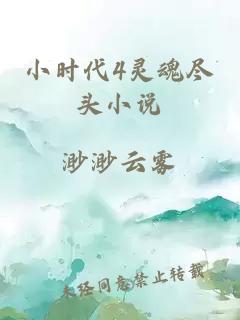 小时代4灵魂尽头小说