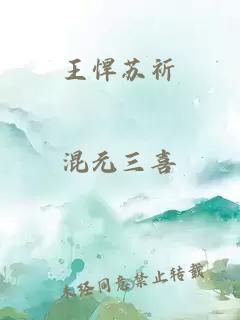 王悍苏祈