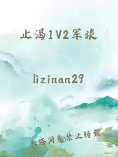 止渴1V2军旅