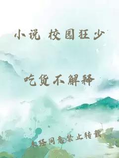 小说 校园狂少