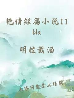 艳情短篇小说11bla