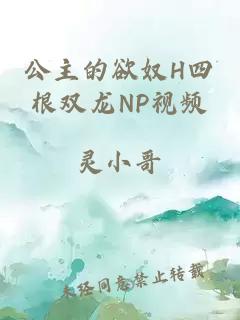 公主的欲奴H四根双龙NP视频