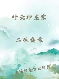 叶云神龙宗