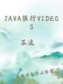 JAVA强行VIDEOS