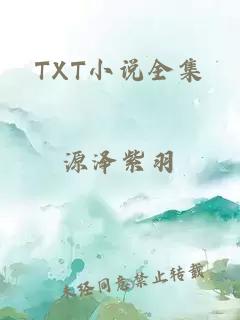 TXT小说全集