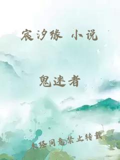 宸汐缘 小说