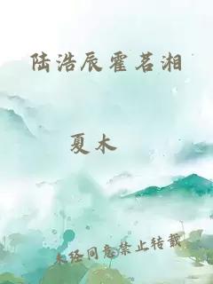 陆浩辰霍茗湘