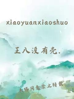 xiaoyuanxiaoshuo