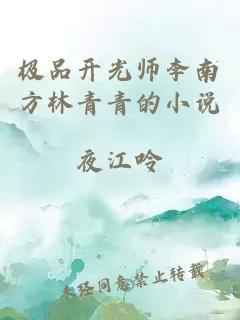 极品开光师李南方林青青的小说