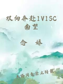 双向奔赴1V1SC南望