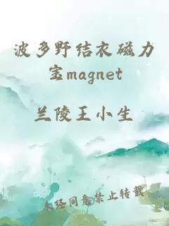 波多野结衣磁力宝magnet