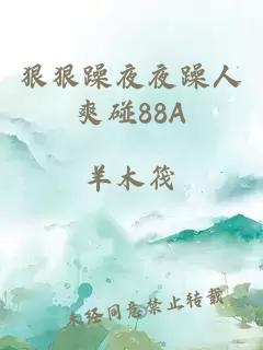 狠狠躁夜夜躁人爽碰88A