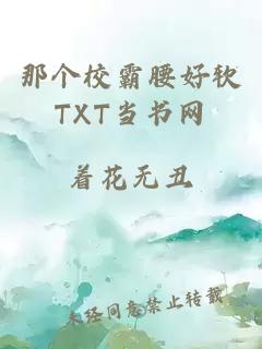 那个校霸腰好软TXT当书网