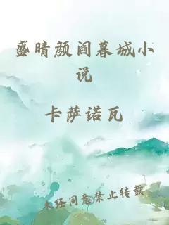 盛晴颜阎暮城小说