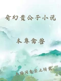 奇幻贵公子小说