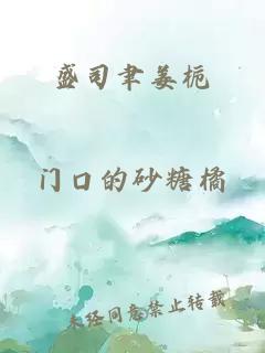 盛司聿姜栀