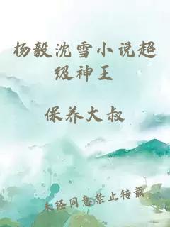 杨毅沈雪小说超级神王