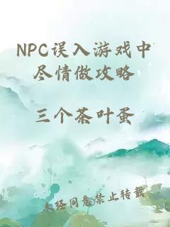 NPC误入游戏中尽情做攻略