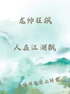 龙帅狂飙