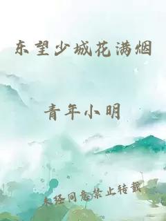 东望少城花满烟