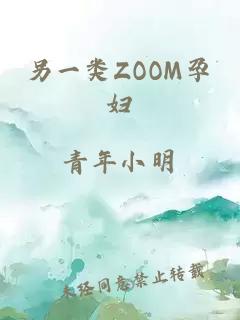 另一类ZOOM孕妇