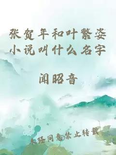 张贺年和叶繁姿小说叫什么名字