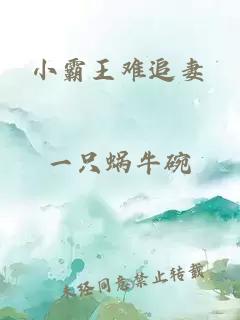 小霸王难追妻