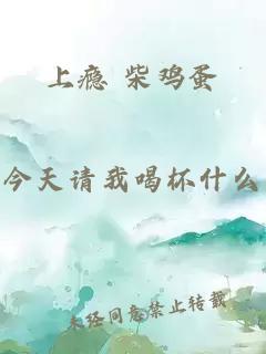 上瘾 柴鸡蛋